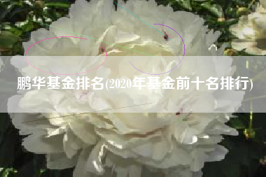 鹏华基金排名(2020年基金前十名排行)