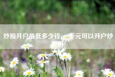 炒股开户最低多少钱(一千元可以开户炒股吗)