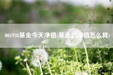 001938基金今天净值(基金总净值怎么算)