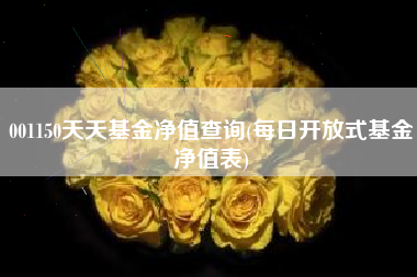 001150天天基金净值查询(每日开放式基金净值表)