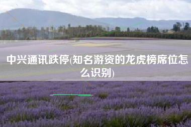 中兴通讯跌停(知名游资的龙虎榜席位怎么识别)
