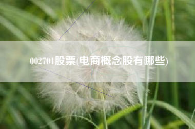 002701股票(电商概念股有哪些)