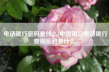 电话银行密码是什么(中国银行电话银行查询密码是什么)