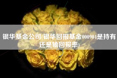 银华基金公司(银华回报基金000904是持有还是输回报率)