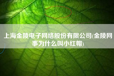 上海金陵电子网络股份有限公司(金陵网事为什么叫小红帽)