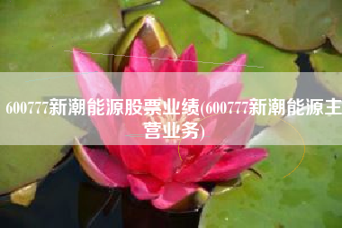 600777新潮能源股票业绩(600777新潮能源主营业务)