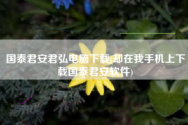 国泰君安君弘电脑下载(却在我手机上下载国泰君安软件)