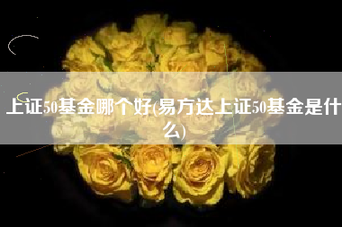 上证50基金哪个好(易方达上证50基金是什么)