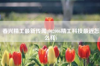春兴精工最新传闻(002006精工科技最近怎么样)