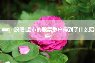 000511股吧(退市的股票散户得到了什么赔偿)