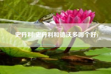 史丹利(史丹利和德沃多哪个好)