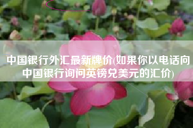 中国银行外汇最新牌价(如果你以电话向中国银行询问英镑兑美元的汇价)