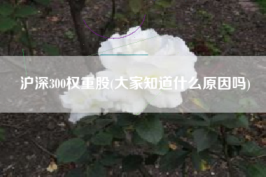 沪深300权重股(大家知道什么原因吗)