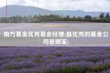 南方基金优秀基金经理(最优秀的基金公司是哪家)