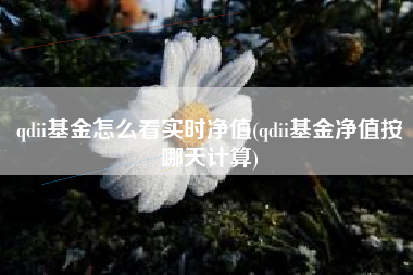 qdii基金怎么看实时净值(qdii基金净值按哪天计算)
