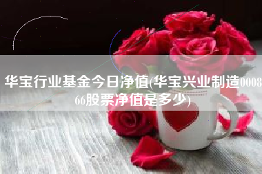 华宝行业基金今日净值(华宝兴业制造000866股票净值是多少)
