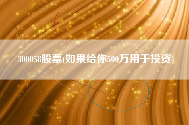 300058股票(如果给你500万用于投资)