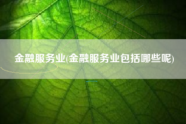 金融服务业(金融服务业包括哪些呢)