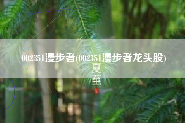 002351漫步者(002351漫步者龙头股)