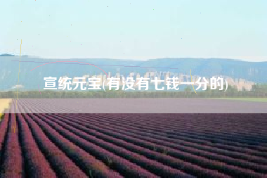 宣统元宝(有没有七钱一分的)