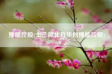 豫能控股(士兰微北方华创豫能控股)