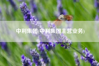 中利集团(中利集团主营业务)
