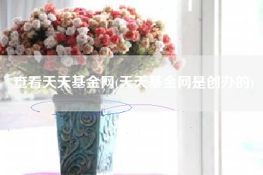 查看天天基金网(天天基金网是创办的)