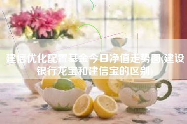 建信优化配置基金今日净值走势图(建设银行龙宝和建信宝的区别)