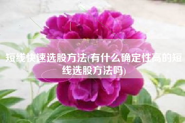 短线快速选股方法(有什么确定性高的短线选股方法吗)