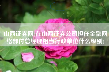 山西证券网(在山西证券公司担任金融网络部付总经理相当行政单位什么级别)