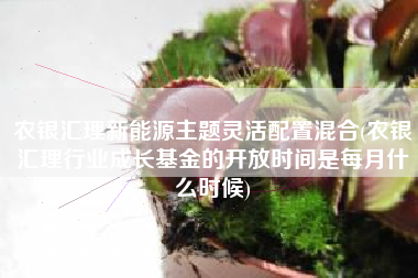 农银汇理新能源主题灵活配置混合(农银汇理行业成长基金的开放时间是每月什么时候)