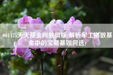 001475天天基金网触屏版(解析军工指数基金中的宝藏基如何选)