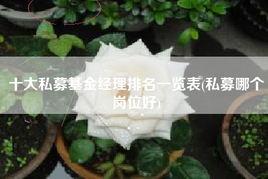 十大私募基金经理排名一览表(私募哪个岗位好)