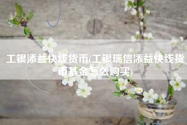 工银添益快线货币(工银瑞信添益快线货币基金怎么购买)