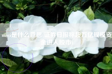 msci是什么意思(证券日报称超万亿规模资金进入股市)