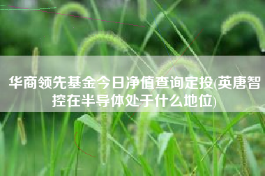 华商领先基金今日净值查询定投(英唐智控在半导体处于什么地位)