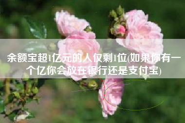 余额宝超1亿元的人仅剩1位(如果你有一个亿你会放在银行还是支付宝)