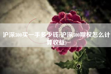 沪深300买一手多少钱(沪深300期权怎么计算收益)