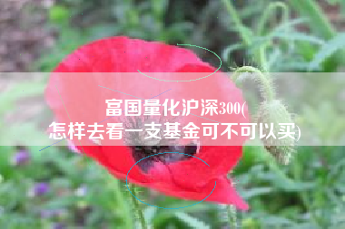 富国量化沪深300(
怎样去看一支基金可不可以买) 富国量化沪深300(
怎样去看一支基金可不可以买)