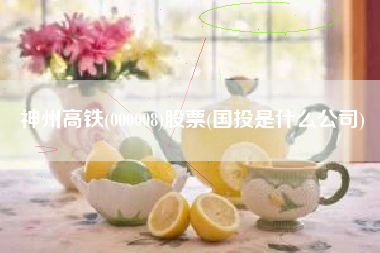 详细阅读:神州高铁(000008)股票(国投是什么公司) 神州高铁(000008)股票(国投是什么公司)