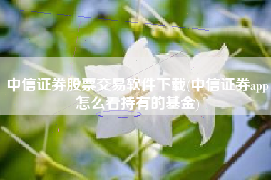 中信证券股票交易软件下载(中信证券app怎么看持有的基金)