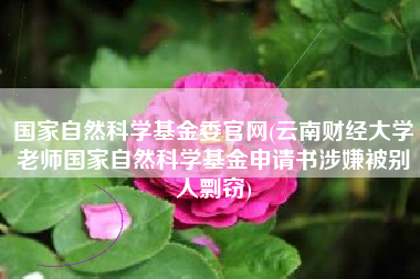 国家自然科学基金委官网(云南财经大学老师国家自然科学基金申请书涉嫌被别人剽窃)
