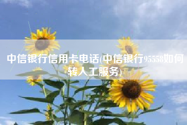 中信银行信用卡电话(中信银行95558如何转人工服务)