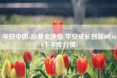 华安中国a股基金净值(华安成长创新007460下半年行情)