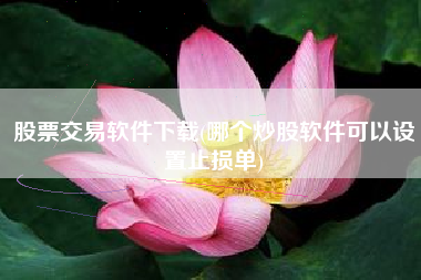 股票交易软件下载(哪个炒股软件可以设置止损单)
