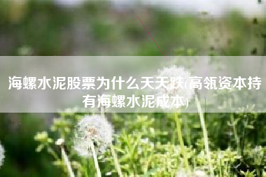 海螺水泥股票为什么天天跌(高瓴资本持有海螺水泥成本)