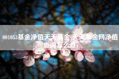 001053基金净值天天基金(天天基金网净值查询怎么查)