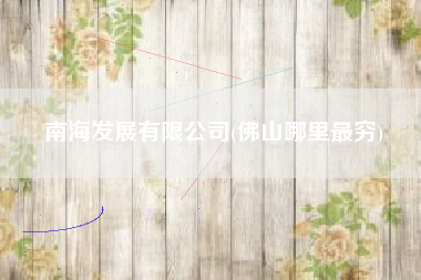 南海发展有限公司(佛山哪里最穷)