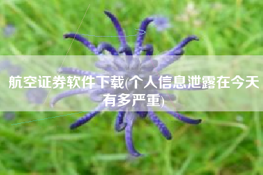 航空证券软件下载(个人信息泄露在今天有多严重)