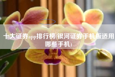 十大证券app排行榜(银河证券手机版适用哪些手机)
